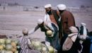 Afghani Water Melon Seller, Camel Market, Kabul